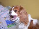 2 ROK - zdjęcie 65
